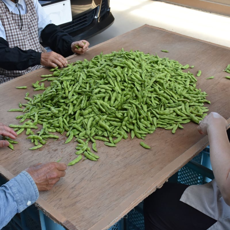 愛知県碧南市産】へきなんのえだまめ 300g袋×3袋入【青豆】 | JA