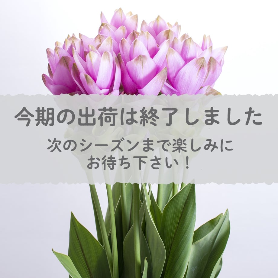 66f61f4b85f934071e3a8b6d