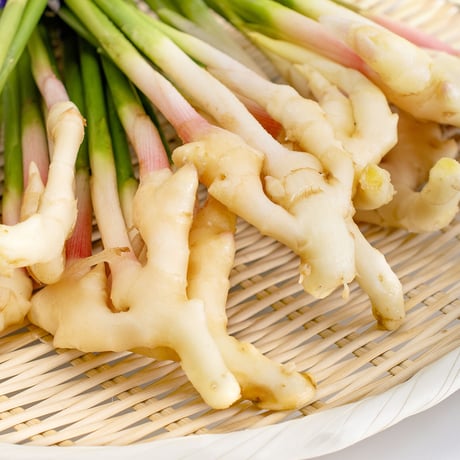 【愛知県碧南市産】へきなん葉しょうが　4㎏箱・100g×40束入り【盆前発送】