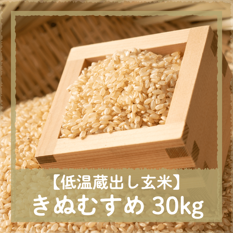 30キロ　平成4年に収穫分-　キヌムスメ　玄米