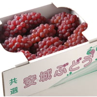 【愛知県安城市産】安城ぶどう・『デラウェア（種なし）』 2kg箱