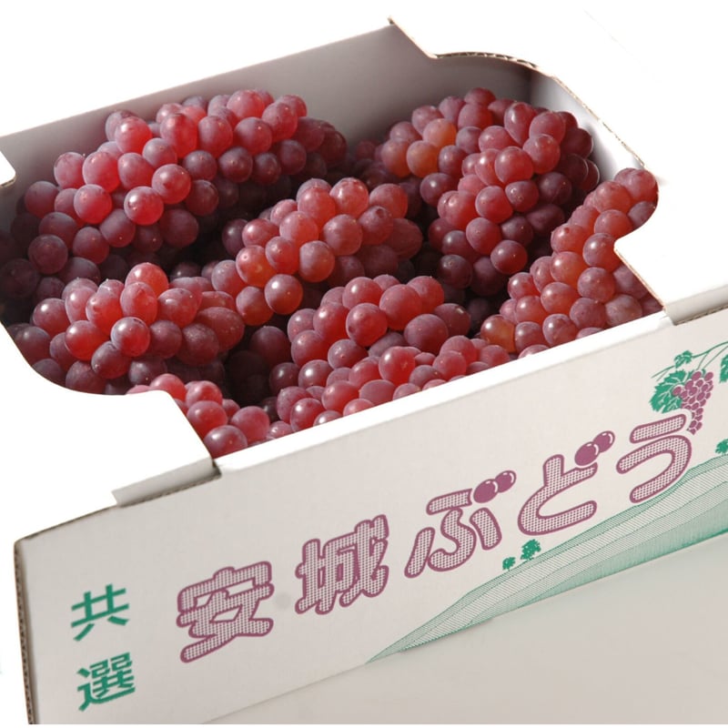 愛知県安城市産】安城ぶどう・『デラウェア（種なし）』 2kg箱 | JA 