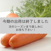 【愛知県碧南市産】ニンジン『へきなん美人』5㎏箱・Lサイズ【小型規格】