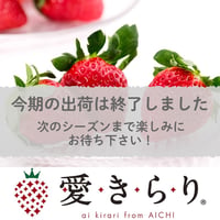 【新商品】安城いちご『愛きらり』 2パック入箱（5～12玉入・250g/平パック）【年明け販売分】