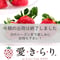 【新商品】安城いちご『愛きらり』 2パック入箱（5～12玉入・250g/平パック）【年明け販売分】