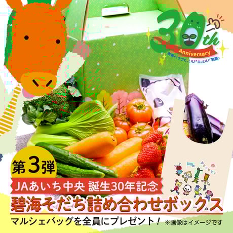 CATEGORY 特産加工品 | JAあいち中央【碧海そだち～オンライン