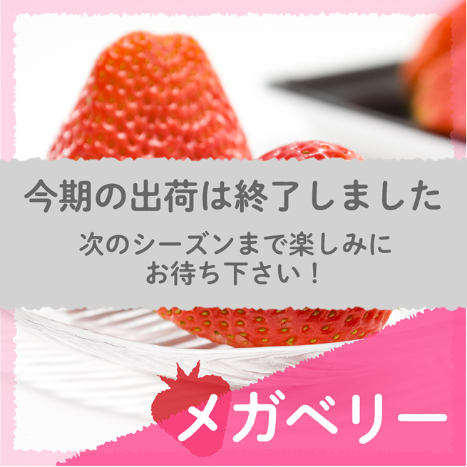 愛知県安城市産】安城いちご『メガベリー』 2パック入箱（4～6玉