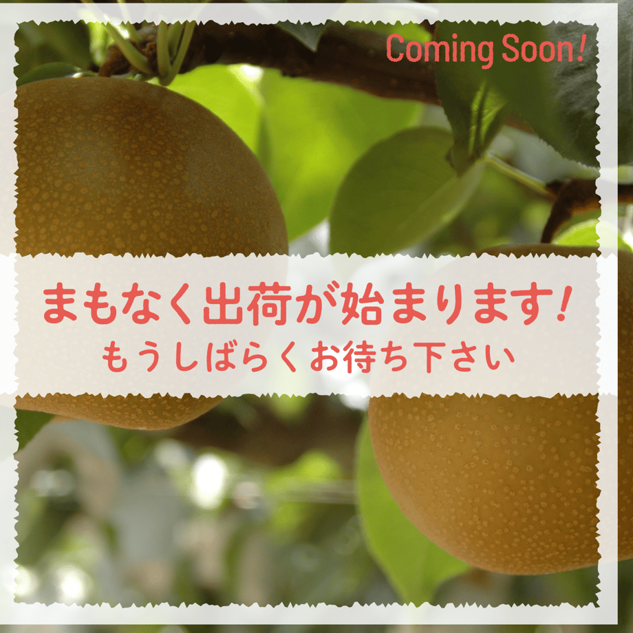 64bcf392117e1155e93f7c81