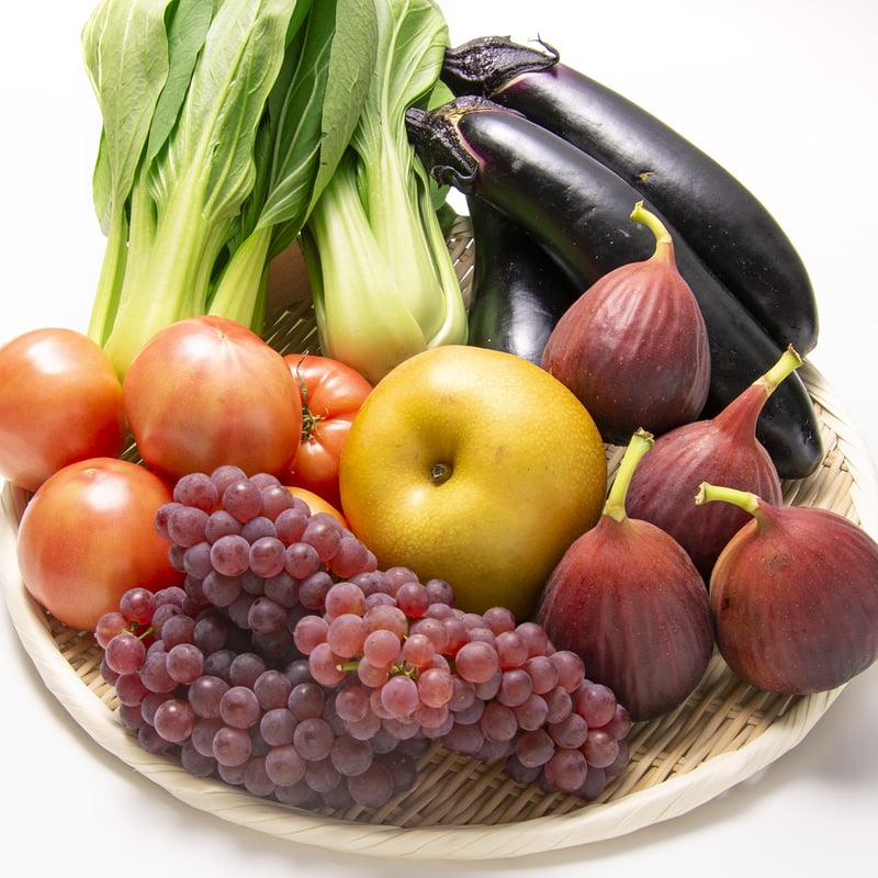 定期便・1ヶ月毎】あおみっ子ハッピーボックス | JAあいち中央