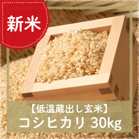 【11/14（土）10：00～12：00引渡し】低温蔵出し玄米令和8年産コシヒカリ30kg