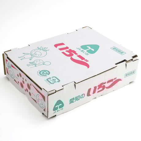 【愛知県安城市産】安城いちご『メガベリー』 2パック入箱（4～6玉入・250g/平パック）【3週間限定商品】