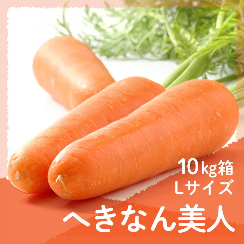 愛知県碧南市産】ニンジン『へきなん美人』10㎏箱・Lサイズ【大容量
