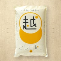 愛知県産】きぬむすめ白米10kg ☆令和6年産米! | JAあいち 愛知県産】きぬむすめ白米10kg ☆令和6年産米! | JAあいち