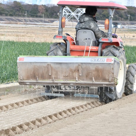 【愛知県碧南市産】タマネギ『へきなんサラダたまねぎ』4.5㎏箱・Lサイズ