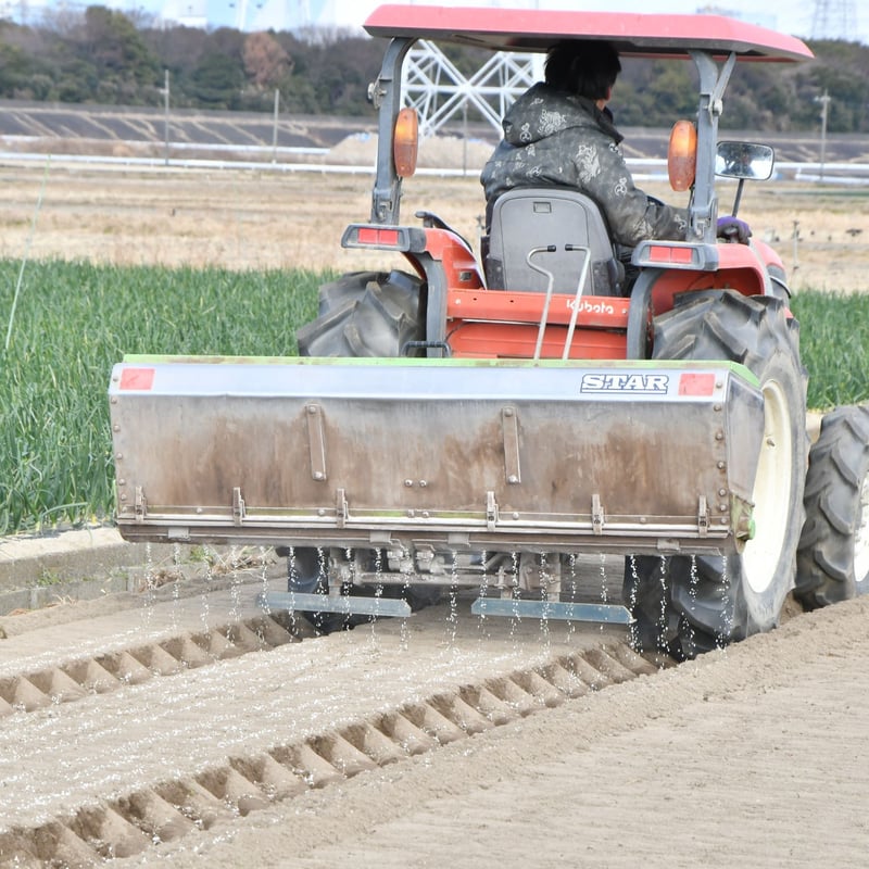 愛知県碧南市産】タマネギ『へきなんサラダたまねぎ』4.5㎏箱・L