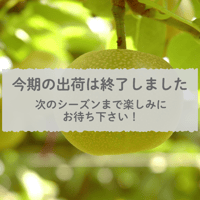 【御中元のし付】安城梨『愛甘水』　3㎏箱・6-8玉入り