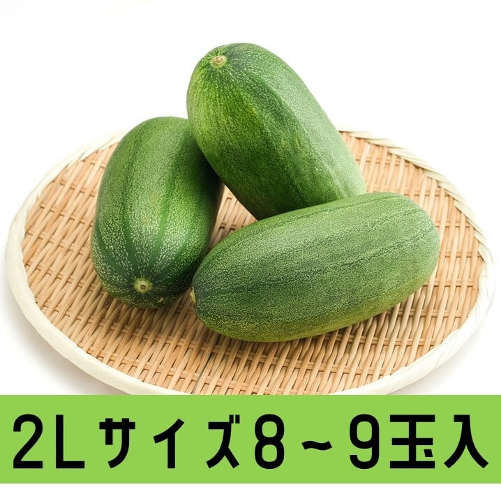 森のきゅうりさま依頼資料 愛知県碧南市産】早生かりもり 4㎏箱・2Ⅼサイズ（8~9玉入）【愛知の