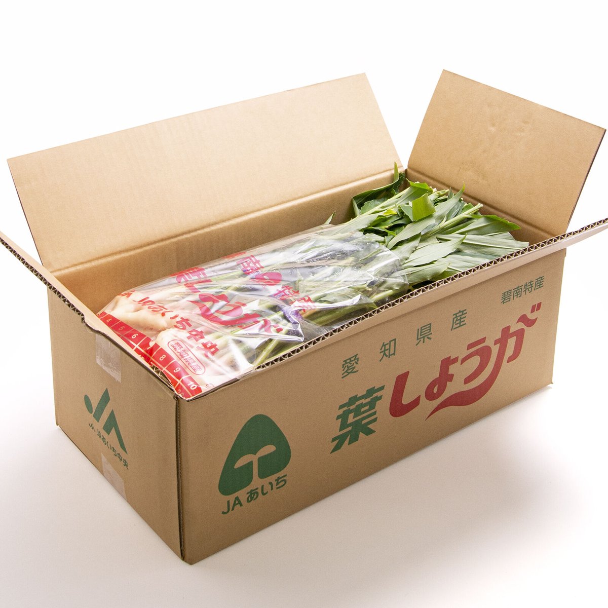 愛知県碧南市産】へきなん葉しょうが 4㎏箱・100g×40束入り【盆