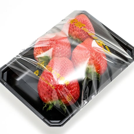 【愛知県安城市産】安城いちご『メガベリー』 2パック入箱（4～6玉入・250g/平パック）【3週間限定商品】