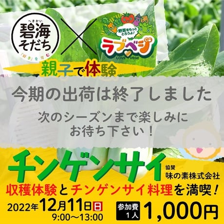 【令和4年12月11日（日）開催】『親子で体験　チンゲンサイ』 協賛：味の素株式会社【愛知県安城市で開催】