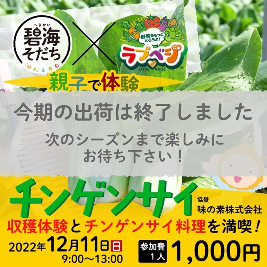 6382accbf519731550c1586b