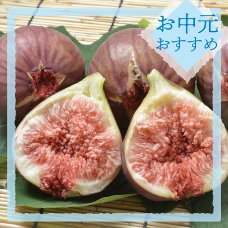 【御中元のし付き】ハウスいちじく　2パック入箱（3～5玉入・350g/パック）