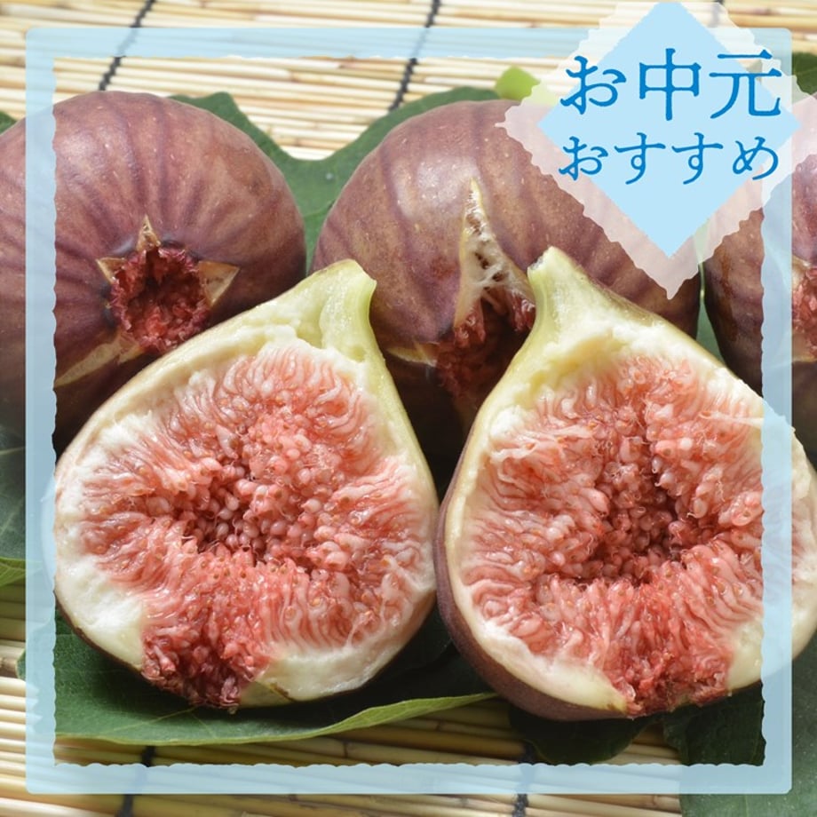 6674f68f6a8b0d03691ca259