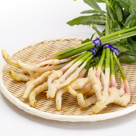 【愛知県碧南市産】へきなん葉しょうが　4㎏箱・100g×40束入り【盆前発送】