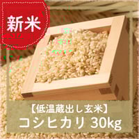 令和7年12月6日（土）10：00～引き渡し】低温蔵出し玄米あいちのかおり