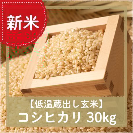 CATEGORY 碧海のお米 | JAあいち中央【碧海そだち～オンライン