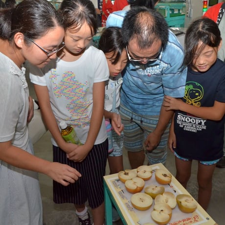 【令和4年8月20日（土）開催】”碧海そだち”「学ぶ」好きを育てる『安城梨 選果場見学会』