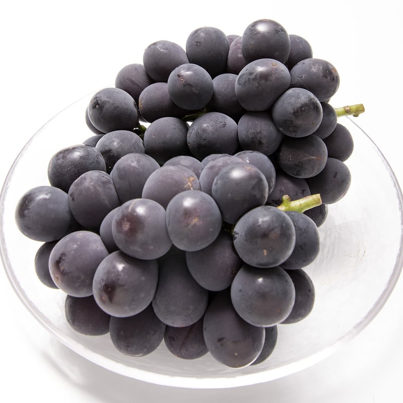 愛知県安城市産】安城ぶどう『巨峰（種なし） 』2kg箱・4～5房入