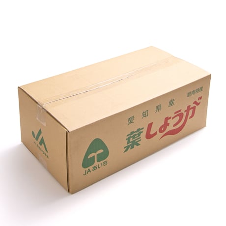 【愛知県碧南市産】へきなん葉しょうが　4㎏箱・100g×40束入り【盆前発送】