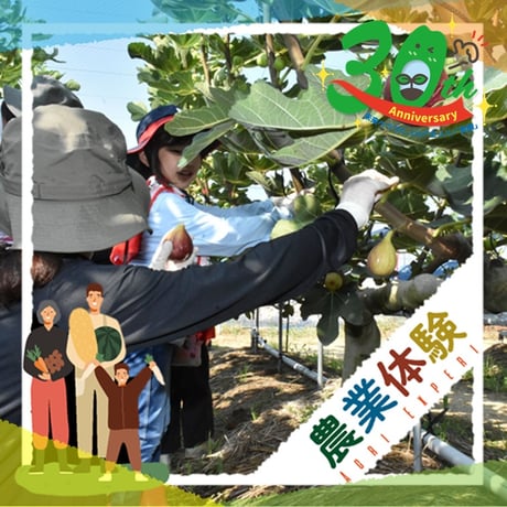 【令和７年９月６日（土）開催】JAあいち中央誕生30年記念“碧海そだち”『親子でいちじく収穫体験＆料理体験』