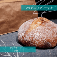 【 単品 】プレーンフランス（Sサイズ）