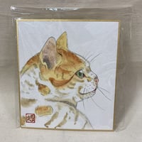 ねこのイラスト色紙　No.430