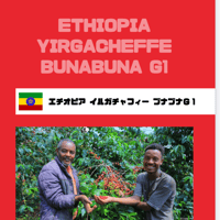 エチオピア・イルガチェフェ・ブナブナ・G1・ナチュラル (中煎り)