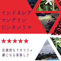 インドネシア中深煎り(珈琲豆)100g