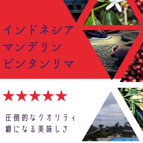 インドネシア中煎り(珈琲豆)100g