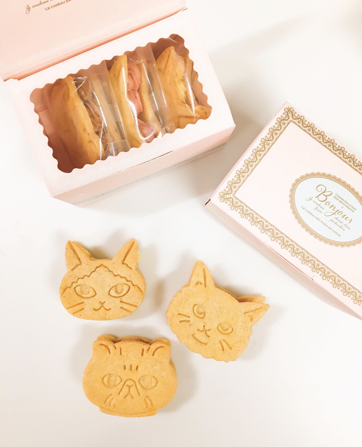 fit=scale-down,w=1200