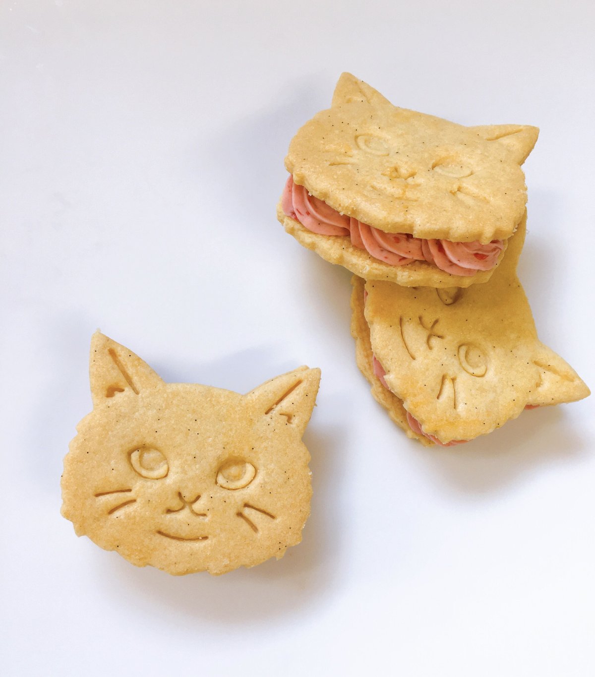 にゃんにゃん様用 Amazon.co.jp: サンエックス(San-X) サンエックスキャラクターズ