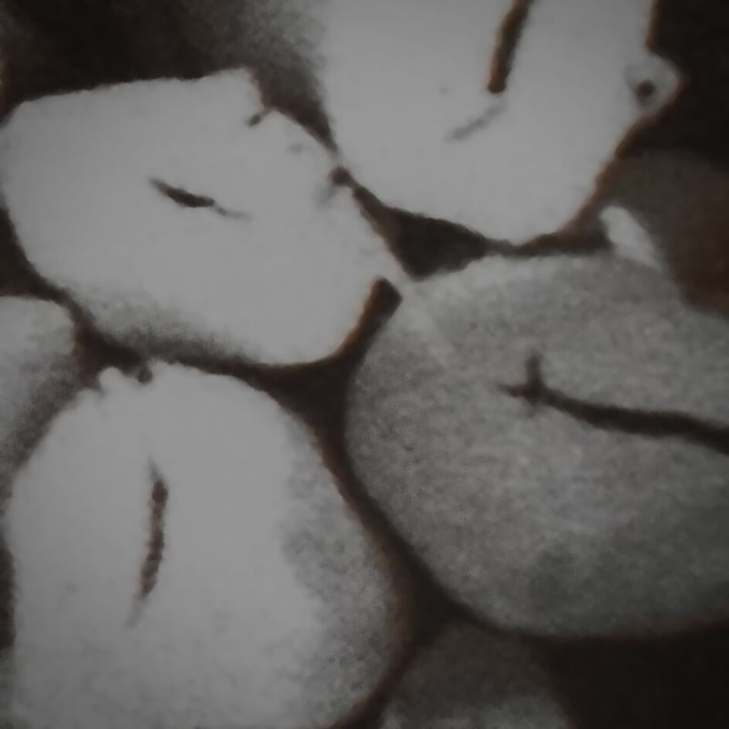 TabisukeTabizoタビスケタビゾウShorts　M Blue gray T2 Running Wristband / Short | Tabisuke Tabizo