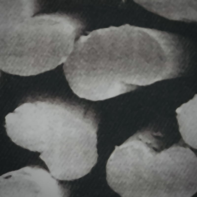 T2 Running Wristband / Short | Tabisuke Tabizo