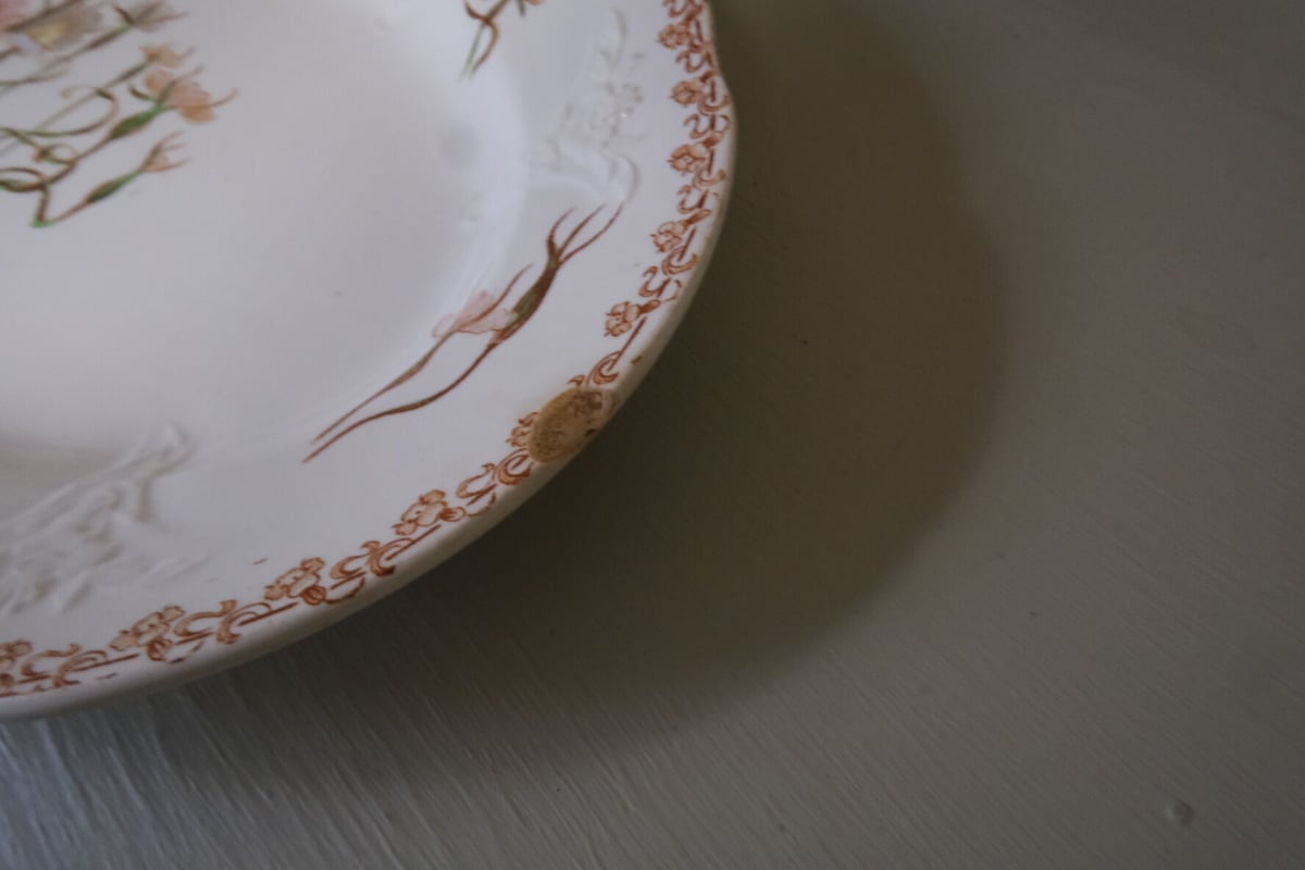Longwy assiette ovale | colza