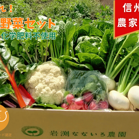 旬の野菜セット７種(レギュラー)【６月上旬～下旬発送予定分】