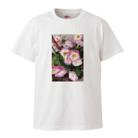 可憐な花Tシャツ