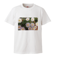 白い花Tシャツ