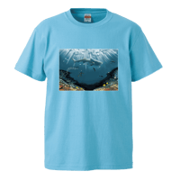 サンゴ礁とジンベエザメTシャツ