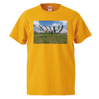 鯉のぼり2Tシャツ