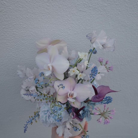 Order Arrangement (M)